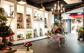 Blumenfee Laden – Regalwand mit Pflanzen