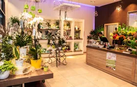 Blumenfee Laden – Orchideen und Arrangements